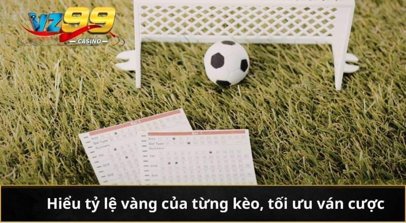 Hiểu tỷ lệ vàng của từng kèo, tối ưu ván cược